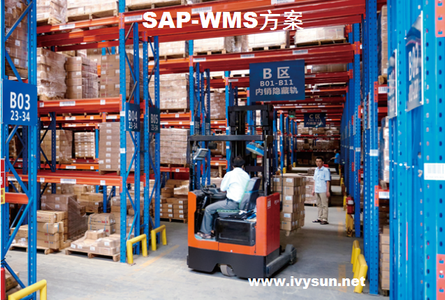 SAP-WMS仓库管理系统集成开发